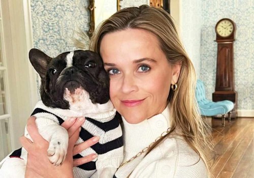 Celebrity Bulldog Owners: Famous Faces and their Beloved Bulldogs